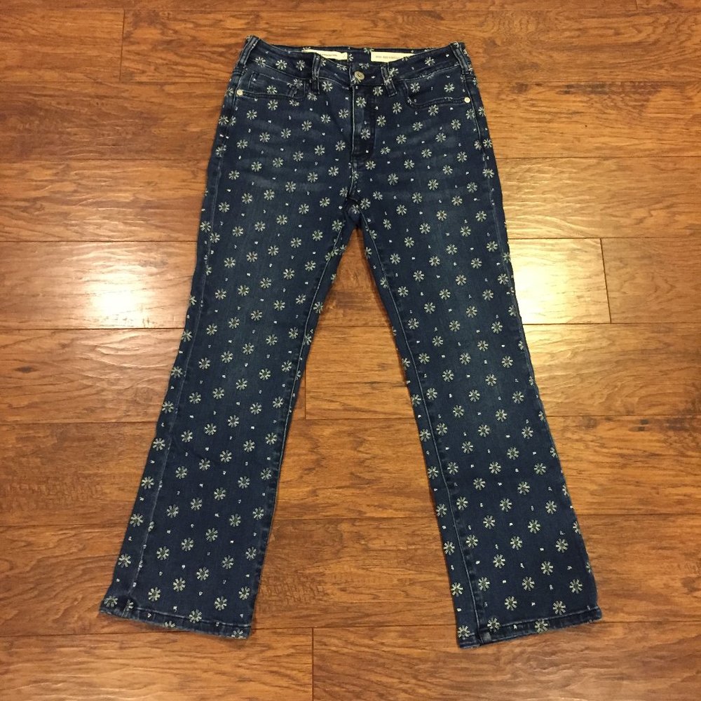 ANTHROPOLOGIE EMBROIDERED JEANS
